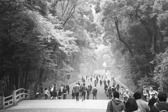 The walk to Meiji Shrine